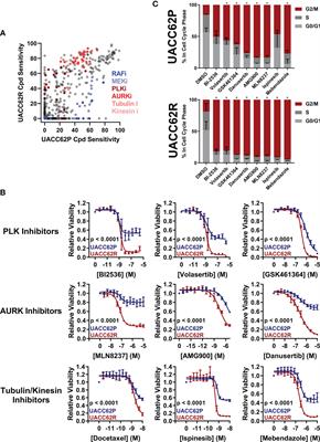 BRAF Inhibitor Resistance Confers Increased Sensitivity to Mitotic Inhibitors